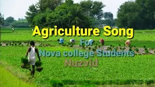 Nova college students for song