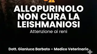 Perché l’allopurinolo NON cura la leishmaniosi (e i rischi renali) 