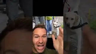 High school bully intant karma | payback