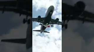 She FELL 33,000 Feet And LIVED