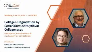 Webinar: Collagen Degradation by Clostridial histolyticum Collagenases