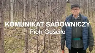 #34 Cięcie zimowe Gala cz.1 Komunikat sadowniczy - Piotr Gościło