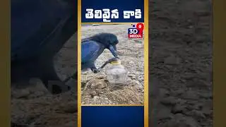 #shorts  #ytshorts  చిన్నప్పటి పాఠాలు గుర్తుకొస్తున్నాయి...   @3d9media
