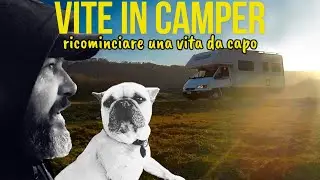 UN CAMPER IN FUGA E IL CANE PULITO