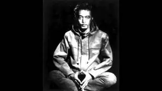 DJ Krush - Future Connection