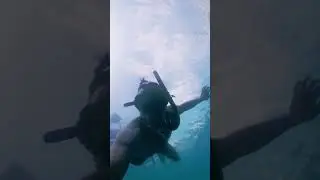 TELSIN WATER DOME with DJI Osmo Action 5 - Turtles, Whales, Costa Rica Waters