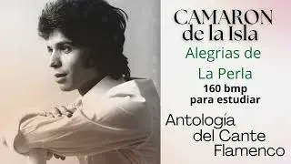 Alegrias de La Perla   160 bmp
