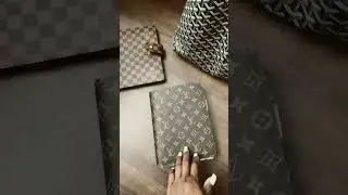 #louisvuittonagenda #lv #cashstuffing #louisvuittonwallet #lvagenda #lvplanner #budgetingtips#agenda
