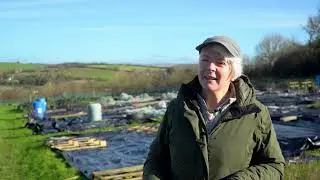 Cornwall Climate Care - Climate & Nature Fund