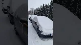 Когда купил тойоту 🥰