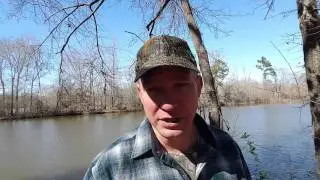 QA: Whats the best beaver lure bait to trap catch snare beaver