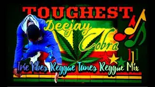 Irie Vibes Season II Reggae Mix🔥