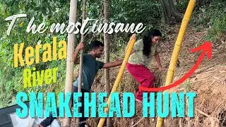 kerala river fishing videos! Amazing snakeheadfish hunt!malayalam fishing videos