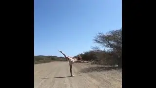Vinyasa Flow, Ballerina Pose, Half Moon pose Variation- Earthflower Yoga