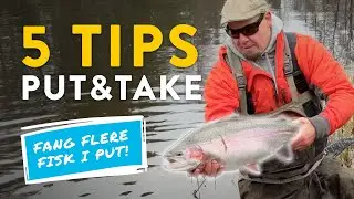GUIDE:  TOP 5 Tips til at fange flere fisk i Put and Take