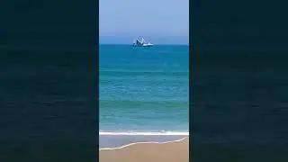 Huge Shrimp Boat & Diving Pelican #beach #beachvibes #ocean #florida #shorts