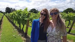 Visit England English Wine Tasting Tour Kent