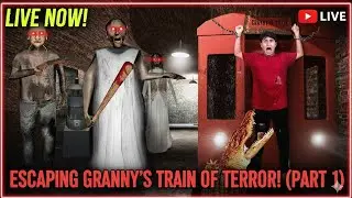 ESCAPING GRANNY`S TRAIN OF TERROR! (PART 1)