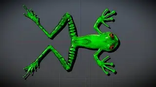 Part 1. 3D Modeling Frog in Blender. Time-lapse