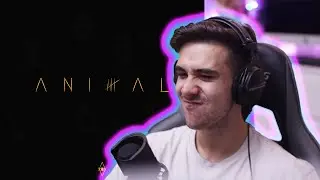 CU SIGURANTA TOP 5! HVNDS - Animal (Album) / Pufulete reacționează