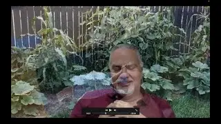 POP 26: Learning and Healing With the Three Sisters Garden &mdash; with Gil Anderson