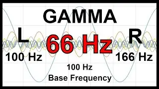 66 Hz Pure BINAURAL Beat 🛑 GAMMA Waves [100 Hz Base Frequency]