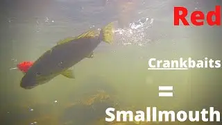 BACKWOODS River Fishing Tygart River SMALLMOUTH Bass FISHING red crankbait for smallmouth bass