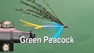 Green Peacock - One Fly A Day