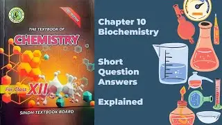 Class XII (12) Chemistry Chapter 10 Short Question Answers Explained | Sindh Textbook Board