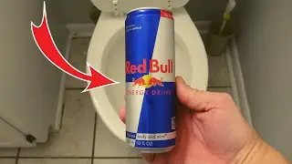 Pour RED BULL Energy Drink in Your Toilet and WATCH WHAT HAPPENS! 💥
