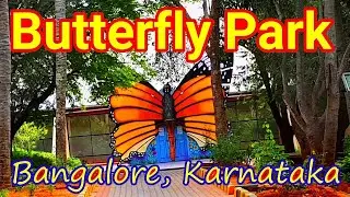 Butterfly Museum #bannerghattabiologicalpark #bannerghattazoo #bengaluru #butterflylifecycle