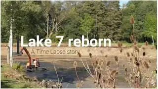Lake 7 Restoration