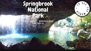 🇦🇺🇦🇺SPRINGBROOK National Park - GOLD COAST - Australia 🇦🇺