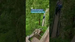Cliffwalk at Capilano Suspension Bridge Park North Vancouver BC 🇨🇦  #cliffwalk #northvancouver