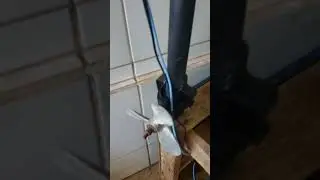 Motor caseiro para caiaque de pesca