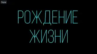 New Paradise ft. Victoria &laquo;РОЖДЕНИЕ ЖИЗНИ&raquo;