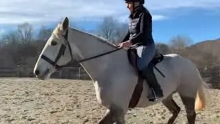 Flat video for TB Makeover taken at my farm January 2023