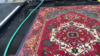 Pet Odor Removal Area Rug Cleaning