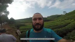 Чайный тур Мойчай.ру, октябрь 2016. Фуцзянь: Уишань, Аньси, Дэхуа. Fujian: Wuyishan, Anxi, Dehua