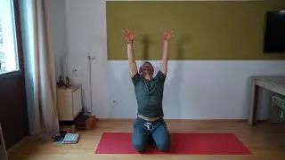 Praktische &Uuml;bungen f&uuml;r gesunde H&auml;nde