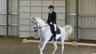 Steph & EVG Ynyr, Dressage fourth level 6/19/16 P1050145