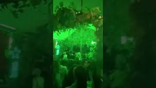Botanic Soundsystem @ Botanic - Surreal Park (02.07.2022)