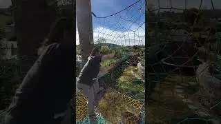 treenet tour on the West Coast! #treenet #treehouse #handmade #rope #art #shortvideo #youtubeshorts