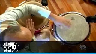 Aprenda Percusi&oacute;n Con Diego Gal&eacute; (Conga A Ritmo De Cumbia)  Cap&iacute;tulo 12