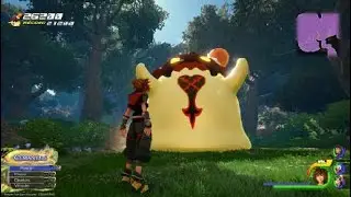 KH3 Flan photos
