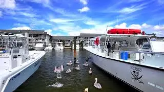 The Naples City Dock, Naples, Florida 💙