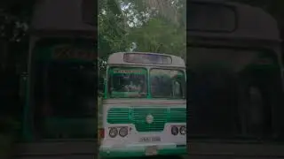 ඒකහ්...✨❤️&zwj;🔥 | jayani super line | monaragala #srilanka #trending #viral #1m #bus