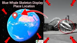 I Found Blue Whale Skeleton Display 😶&zwj;🌫️On Google Earth Google maps Please Location #maps #earth