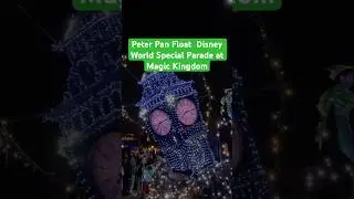 Disney World Special Parade at Magic Kingdom on New Year Night - Sha Kids Fun