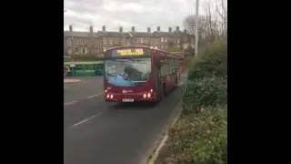 GO NORTH EAST BUSES